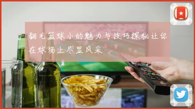 翻毛篮球小的魅力与技巧探秘让你在球场上尽显风采