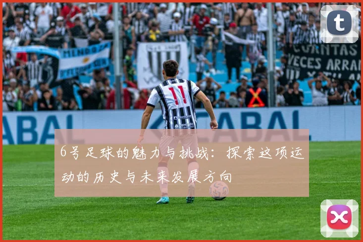 6号足球的魅力与挑战：探索这项运动的历史与未来发展方向