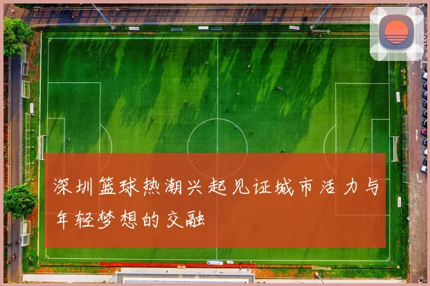 深圳篮球热潮兴起见证城市活力与年轻梦想的交融