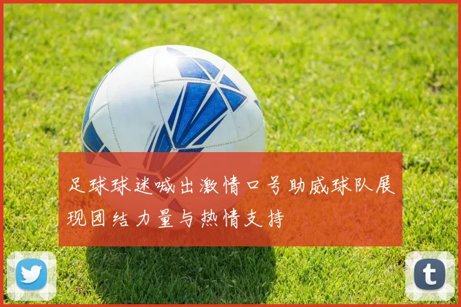 足球球迷喊出激情口号助威球队展现团结力量与热情支持