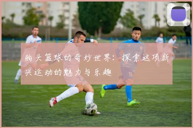 狗头篮球的奇妙世界：探索这项新兴运动的魅力与乐趣