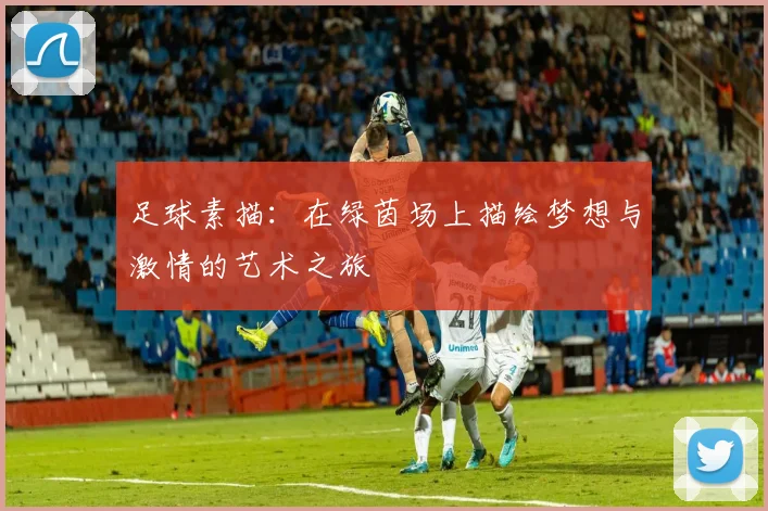 足球素描：在绿茵场上描绘梦想与激情的艺术之旅