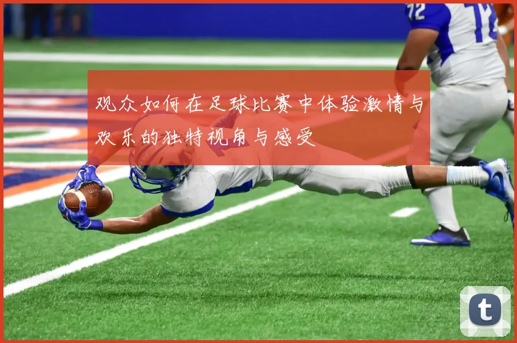 观众如何在足球比赛中体验激情与欢乐的独特视角与感受