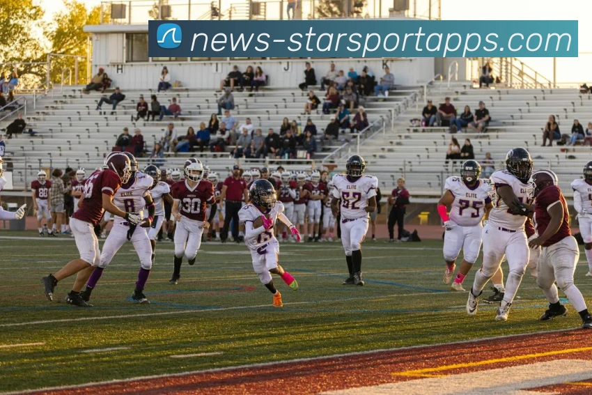 星空体育平台平台生态图